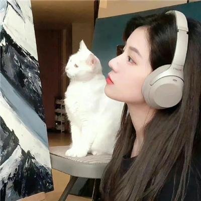 玉奴娇